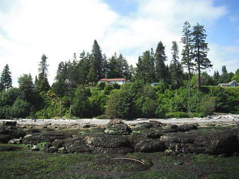 Edgewater Motel Campbell River Esterno foto