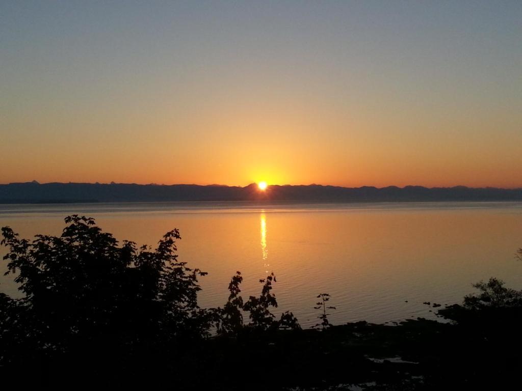 Edgewater Motel Campbell River Esterno foto